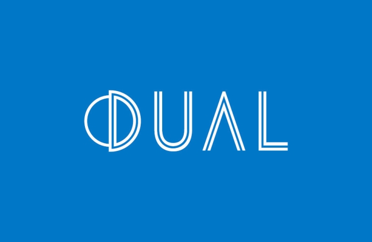 DUAL Group logo