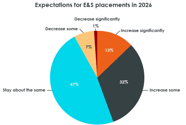 Expectations for E&S placements in 2026