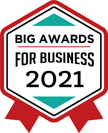 Big Awards for Business 2021 Award - logo